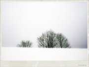 winter07-jpg