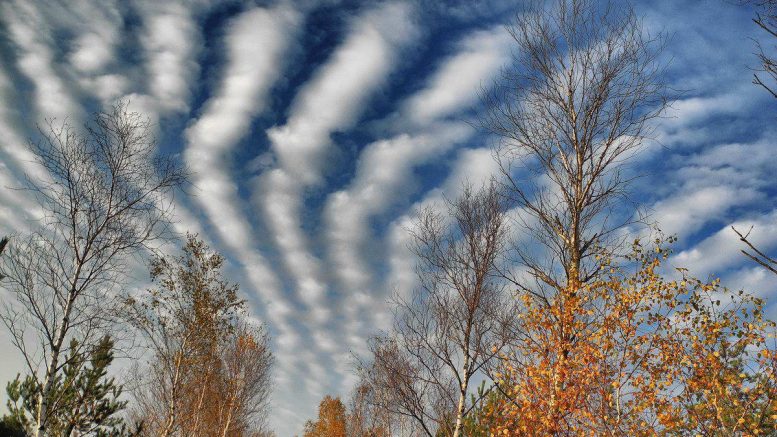 Wolken über dem Schönramer Filz | Foto: KTraintinger