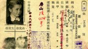 Der chinesische Pass von Gertrud Kohn