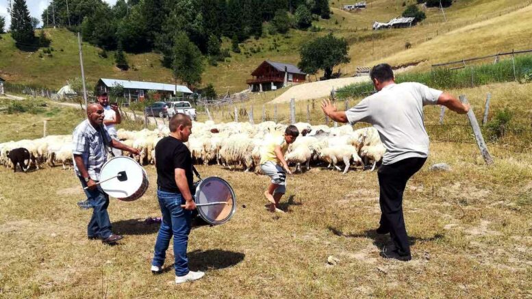 In den Pausen beim Schafscheren wurde zu traditioneller Musik getanzt