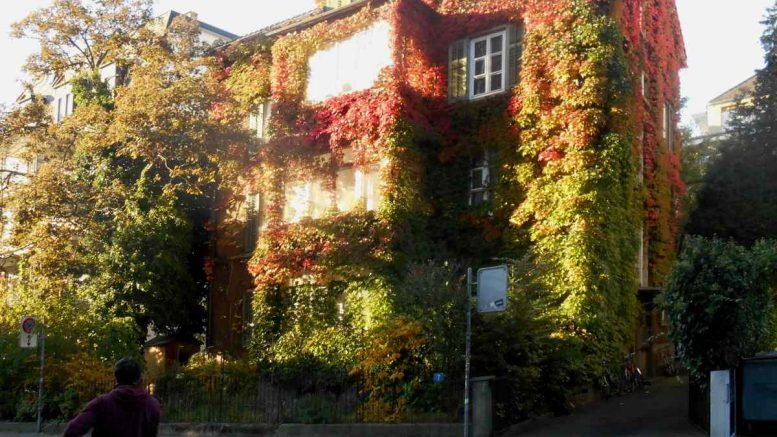 Schweiz. Friedensrat Gartenhof im Herbst 2021