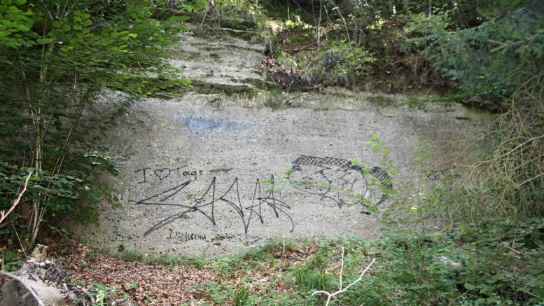 Die glatte Riedlwand wurde zweifellos bearbeitet. (© Michael Neureiter)